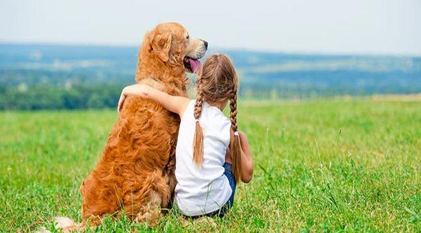 Köpek besleyen çocuklarda şizofreni riski daha az 