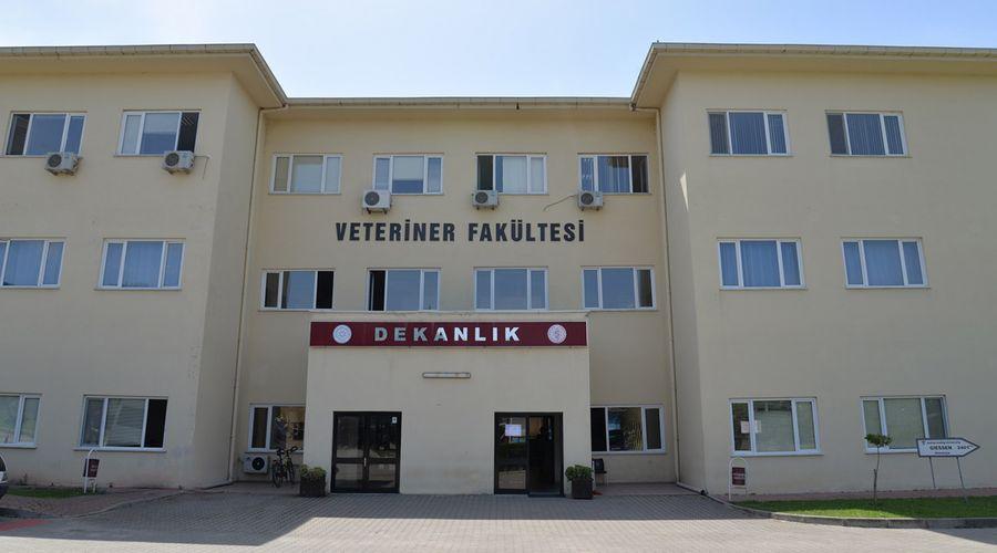 Veteriner fakültelerine 'ameliyat sonrası hastane hizmeti' davası