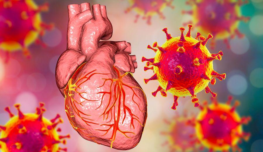 Araştırma: COVID-19 kalp sağlığını nasıl etkiliyor?