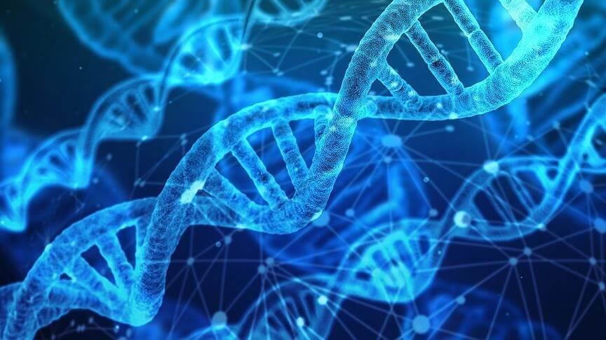 Epigenetik: Kanseri anlamak ve tedavi etmek için 'yeni bir eşik aşıldı'
