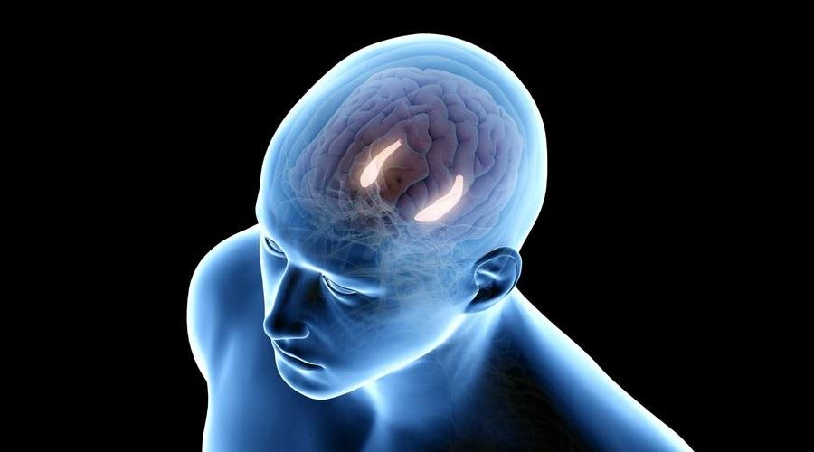 Araştırma: Depresyon, beynin hipokampus bölgesinde taurin seviyelerinin azalmasıyla ilişkili