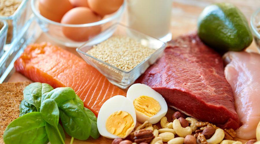 Obezite bulmacasını çözmek: Protein kaldıraç hipotezi yeni anlayışlar sağlıyor