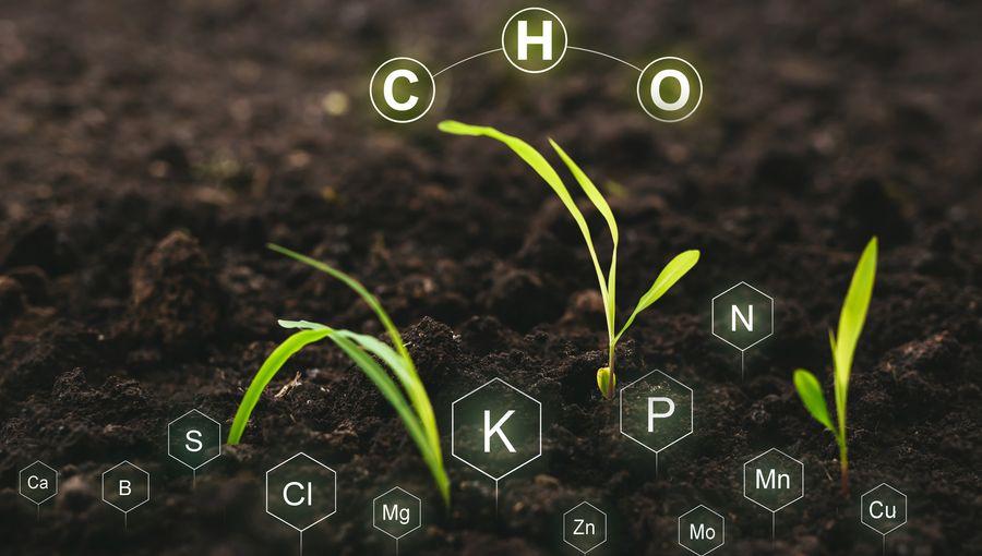 Araştırma, toprak mineral içeriğinin sağlık üzerindeki etkisini ortaya koydu