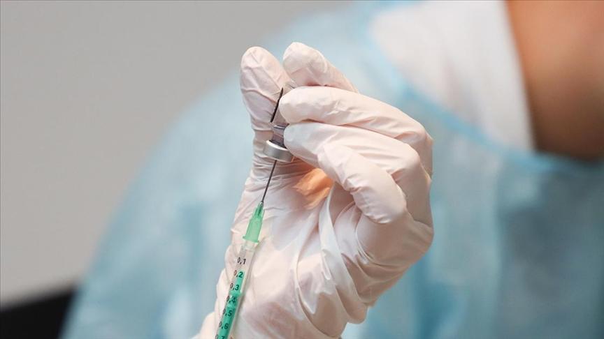 Güney Kore'de daha az yan etkiye sahip dünyanın ilk 'rekombinant' şarbon aşısı geliştirildi