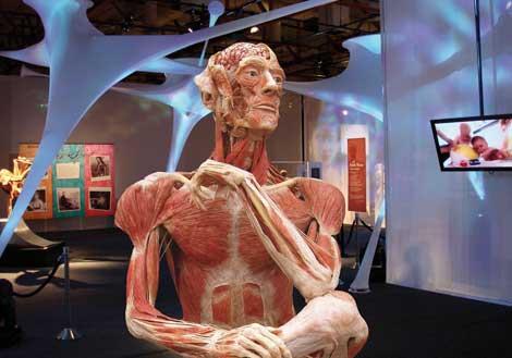Yoğun ilgi Body World'ün süresini uzattırdı