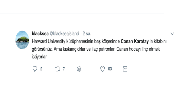 Canan Karatay konuştu... Hekimler Twitter'da linç edildi 