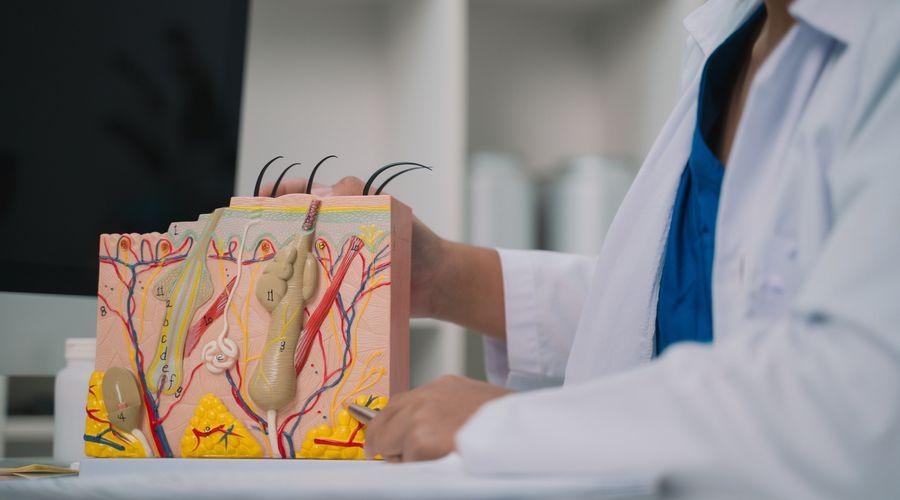TUS’ta en yüksek puanla dermatoloji, en düşükle acil tıp kazanıldı