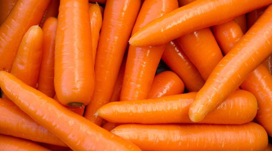 ABD'de paketli havuçlarda koli basili bakterisi