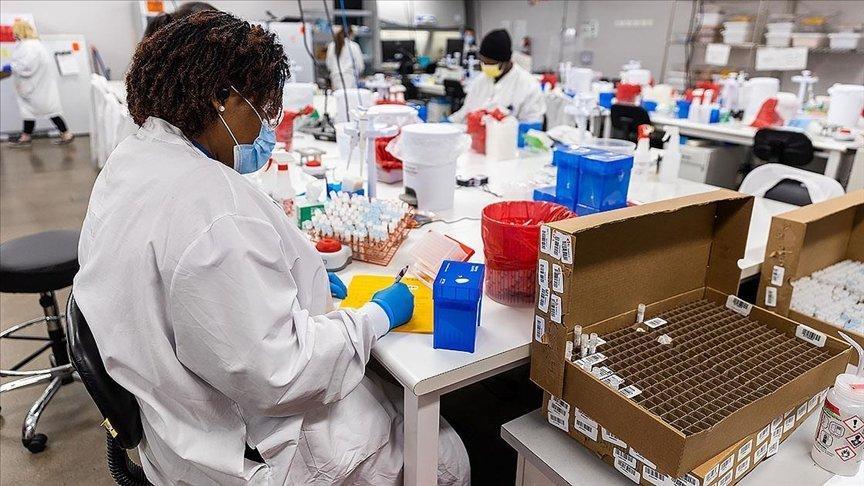 Güney Afrika: Ülkede M çiçeği salgını kontrol altında