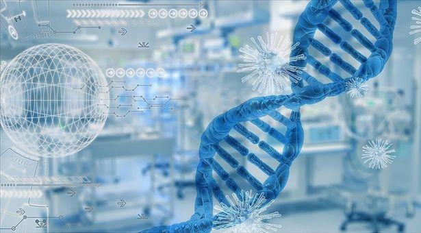 İngiltere'den yeni araştırma! Bilim insanları, bazı kişilerin neden COVID'e yakalanmadığını buldu