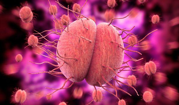 Cinsel yolla bulaşan hastalık ortaya çıktı: Antibiyotiğe dayanıklı bakteri paniği yaşanıyor