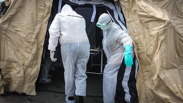 Çarpıcı araştırma: Ebola virüsü beyinde saklanıyor, yıllar sonra öldürüyor