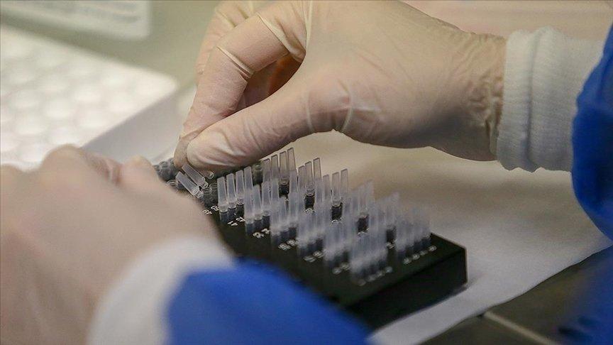ABD'li genetik şirketi: 6,9 milyon kullanıcının bilgileri çalındı