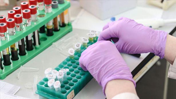Kanser tedavisinde yol haritasını genetik testler belirliyor