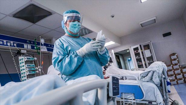 Korona virüs salgınında son 24 saat
