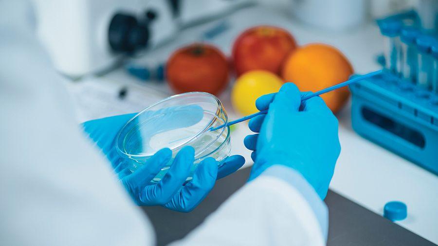 Laboratuvar üretimi gıdalar iki yıl içinde satışa sunulabilir