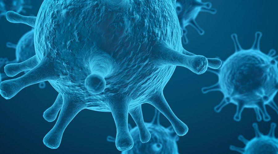 Maymun çiçeği virüsü küçük çocukları daha fazla etkiliyor
