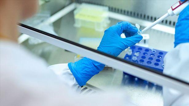 COVID-19'a karşı geliştirilmişti; zatürreyi de engellediği ortaya çıktı
