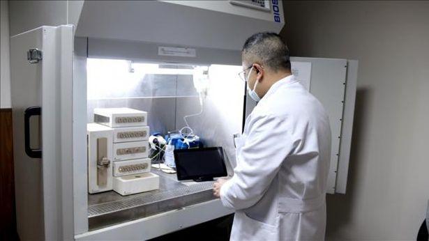 Radyoloji Hizmetleri Yönetmeliği ne getiriyor?