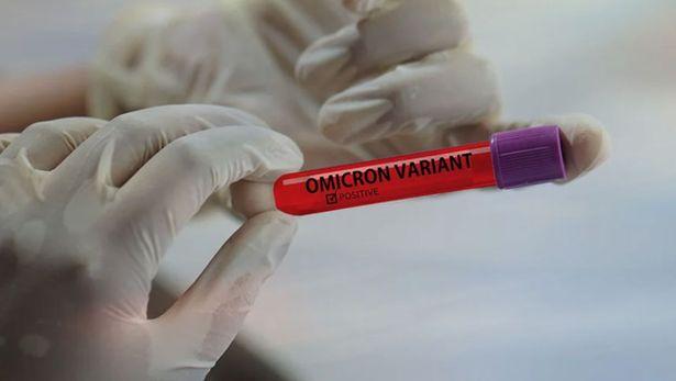 Almanya'dan yeni çalışma: Omicron'daki mutasyonlar COVID-19'un şiddetini azaltıyor