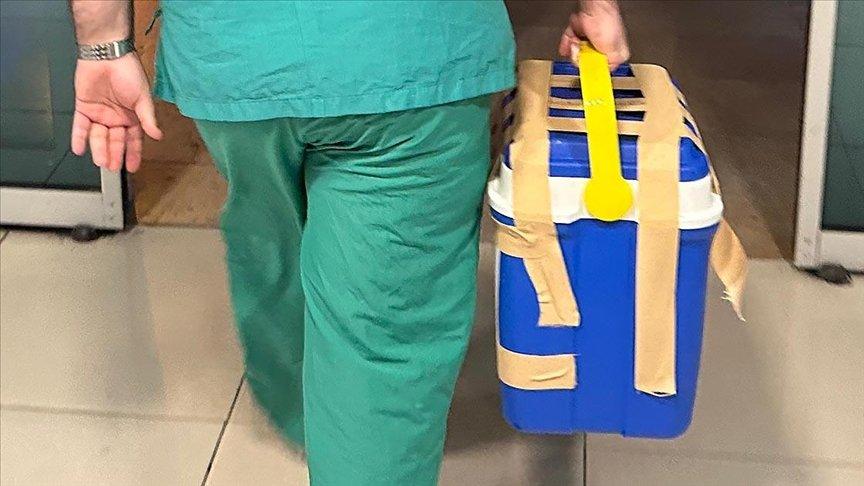 İstanbul'da bu yıl 2 bin 170 organ nakli yapıldı