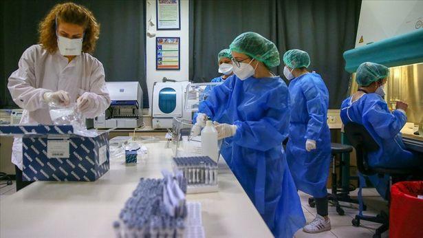 Son bir haftada 1800 PCR testi yapıldı; her 5 örnekten 1'i pozitif