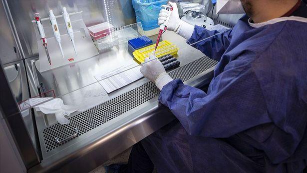İçişleri Bakanlığı PCR testi konulu genelge yayınladı