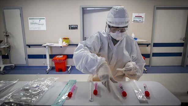 PCR testinin incelenme süreci nasıl gerçekleşiyor? 