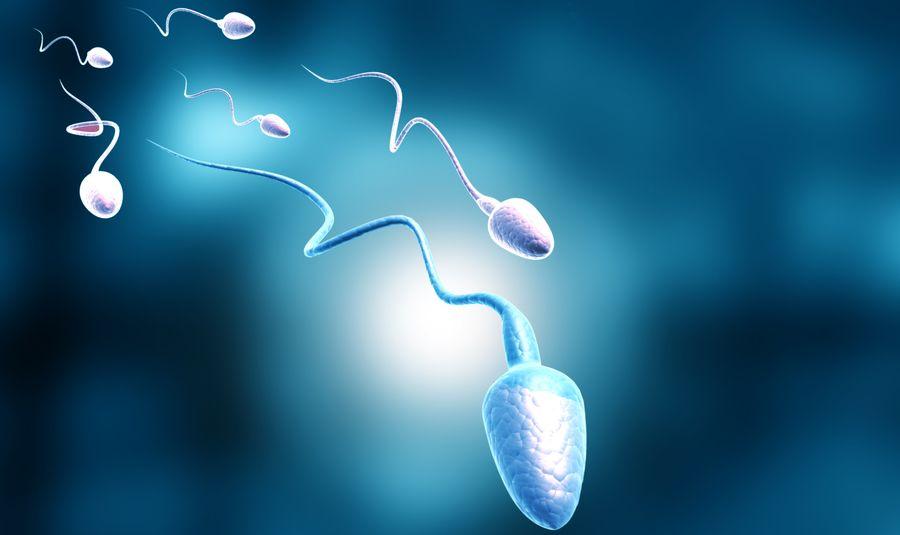 ARAŞTIRMA: Kilo vermek, obez erkeklerin sperm sayısını iki katına çıkarıyor