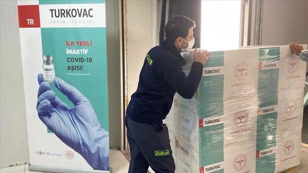 Acil kullanım onayı almıştı: TURKOVAC aşısının ilk sevkiyatı gerçekleşti!