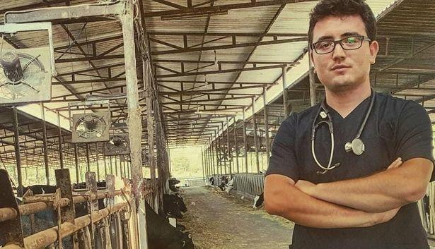 Muğla'da veteriner hekim trafik kazasında hayatını kaybetti