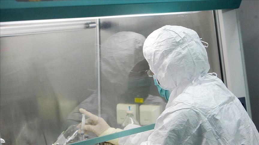Küresel panik artıyor: Maymun çiçeği virüsü bir ülkede daha görüldü