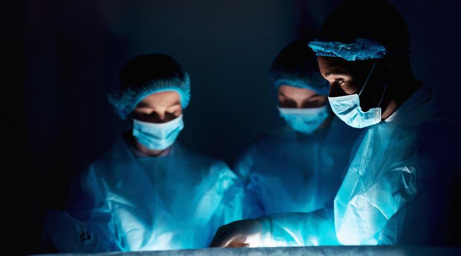 Organ yetmezliği tedavisinde modifiye edilmiş domuz karaciğeri denenecek