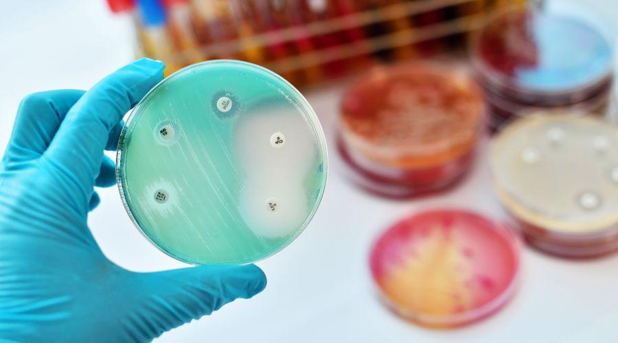 Yapay zeka, dirençli bakterilere karşı yeni antibiyotik tasarladı