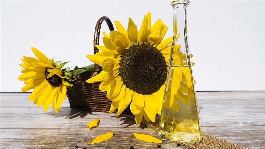 Ayçiçek ve kanola gibi tohum yağları sağlığa zararlı mı?