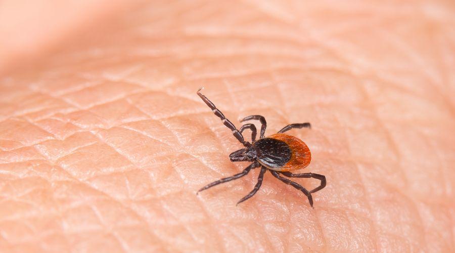 Çorum'da KKKA tedavisi gören kişi hayatını kaybetti
