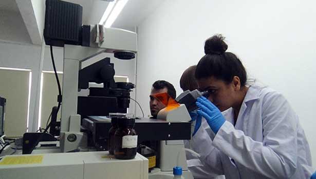 TÜBİTAK Projesi: Nanomotorlarla kanser tedavi edilecek