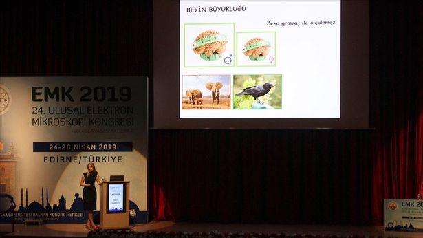 Prof. Dr. Tanrıöver: Erkek beyni kutucuklardan kadın beyni alanlardan oluşuyor