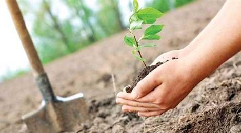 Doktorun suratına kağıt fırlatan kişiye hakim bakın ne ceza verdi 