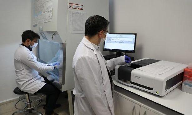 Bartın Üniversitesinde '3CLpro' enzimi üretildi