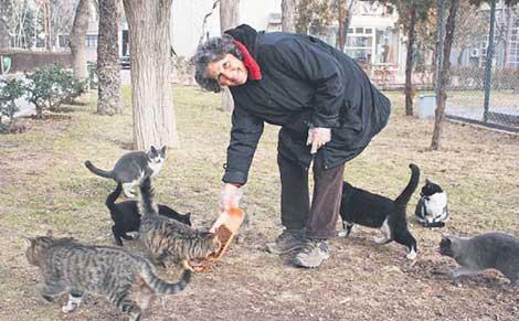  Emekli cerrah kedilerini bırakmadı