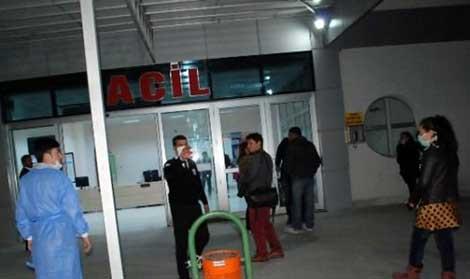 Erzurum'da domuz gribi şoku: 3 ölü!