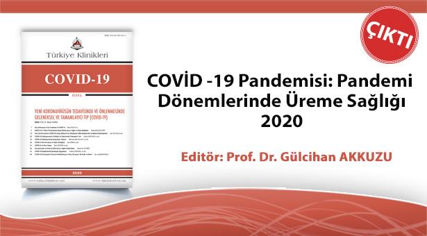 Türkiye Klinikleri 'Pandemi dönemlerinde üreme sağlığı' sayısı yayınlandı