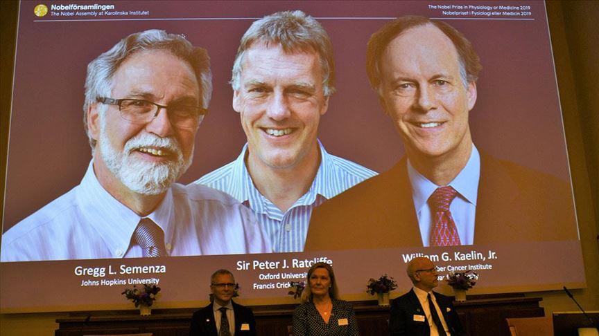 2019 Nobel Tıp Ödülü'nü kazananlar belli oldu