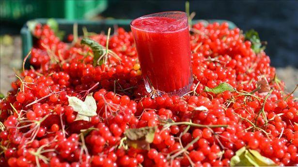 Türkiye'de üretilen takviye edici gıda ABD raflarında yerini aldı 