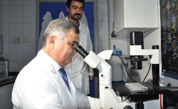 Tıbbi Biyoloji uzmanı: Çayda bor gübresi kullanımı ile vücuttaki bor artırılabilir