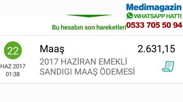 2 bin 631 Tl emekli maaşıyla yaşamaya calışmaktan kendimi ihbar ediyorum; Ben bir gerizekalıyım!