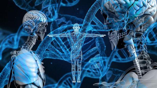 Araştırma: Dikkat eksikliği ve hiperaktivite riskini artıran genetik varyasyonlar belirlendi 