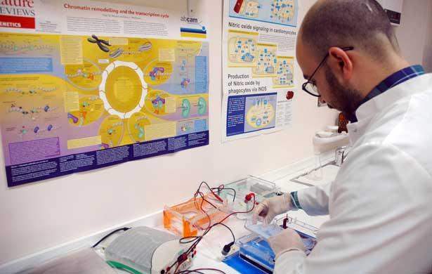 Dünya Sağlık Örgütü 2018'de 9,6 milyon insanın kanser sebebiyle ölebileceğini duyurdu