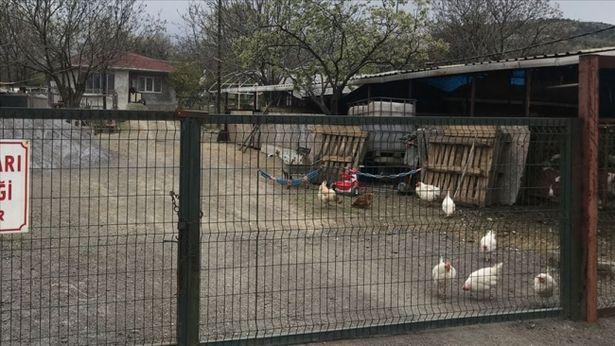 KKKA hastalığından ölen kişinin annesi de aynı şüphe ile başvurduğu hastanede hayatını kaybetti
